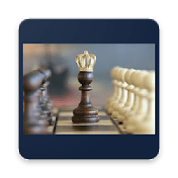 New Chess Master 3D icon