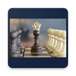 Best Chess Master 3D 1.0