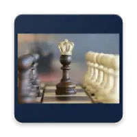 New Chess Master 3D