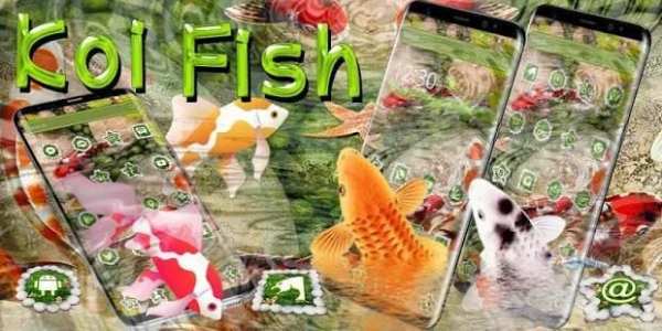 Tema Peluncur Ikan Koi screenshot 1