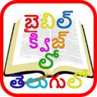 Bible quiz in telugu - బైబిల్ క్విజ్ లో తెలుగులో on 9Apps