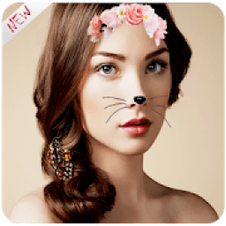 ikon Snap Filtres Cam