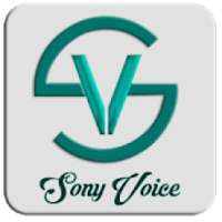 Sony Voice