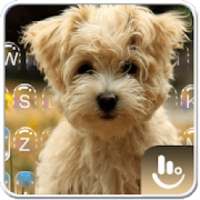 Cute Lucky Puppy Dog Keyboard Theme