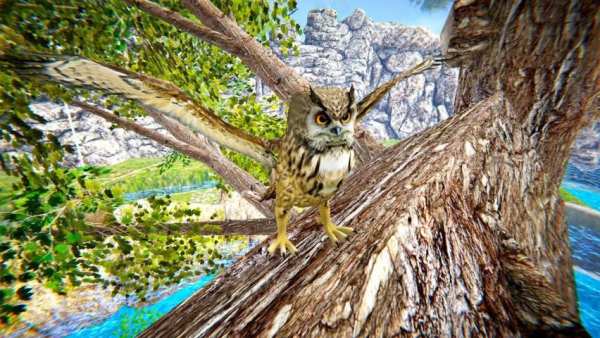 Forest Flying Birds स्क्रीनशॉट 4