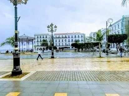 Guide d'Alger screenshot 7