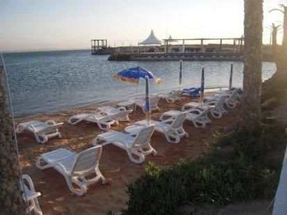 Guide d'Alger screenshot 1
