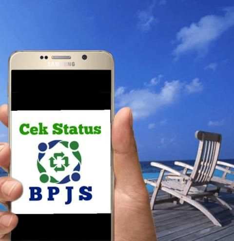 Cek Status BPJS screenshot 4