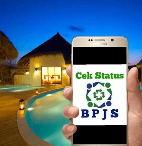 Cek Status BPJS screenshot 3