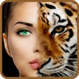 Photo Mixing 1.1
