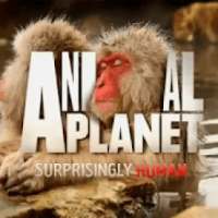 Animal Plannet Channel