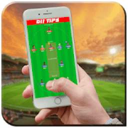 Dream11 daily news tips 1.1