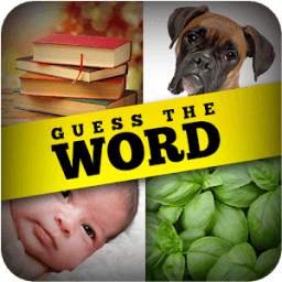 Guess the Word