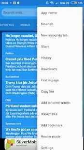 Browser screenshot 2