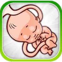 بارداری هفته به هفته + تقویم بارداری
‎ on 9Apps