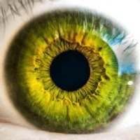 Eyes- Health, Foods and Precautions on 9Apps