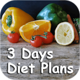 Super Military 3 Days Diet Plan आइकन