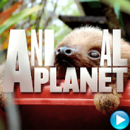 ikon Animal Planet: Channel