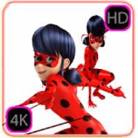 Ladybug 2 Wallpapers