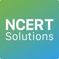 NCERT Solutions