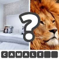 Dos Fotos Una Palabra