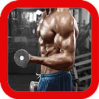 Latihan Fitness : Gym Workout on 9Apps