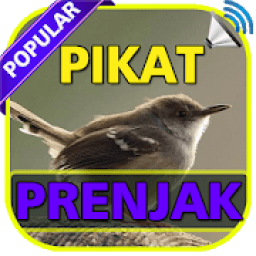 Kicau Prenjak Pikat TOP иконка