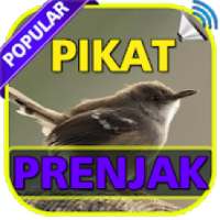 Kicau Prenjak Pikat TOP on 9Apps