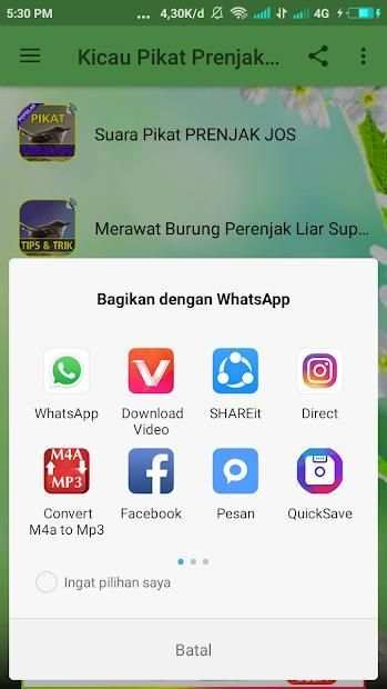 Kicau Prenjak Pikat TOP screenshot 2