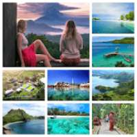 FREE Photo Collage Maker on 9Apps