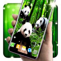 Panda 3D in Bamboo parallax live wallpapers