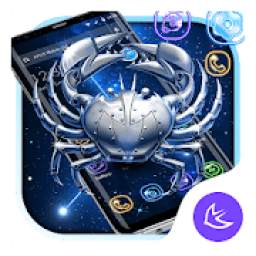 Constellation Cancer Theme 2