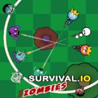 Battle Royale.io - Survival Zombie logo