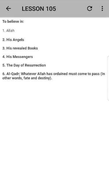 Begginers Guide To Islam screenshot 2