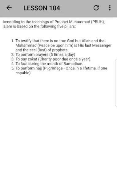 Begginers Guide To Islam screenshot 4