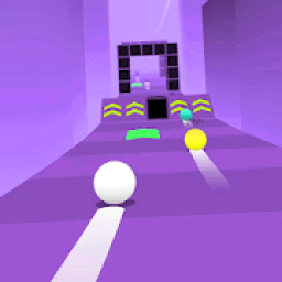 Balls Racing:Roll icon