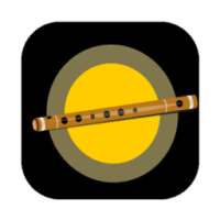 Bansuri Video Player