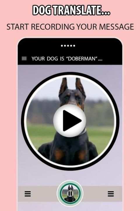 Dog Translator Simulator screenshot 1