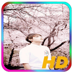 ikon BTS Wallpaper Jungkook