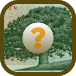 ikon Find Money Free