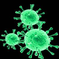 Coronavirus How to Protect Yourself