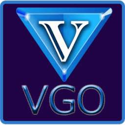 VGO Partner