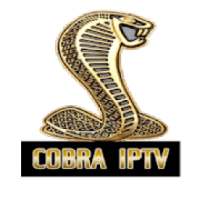 COBRA IPTV