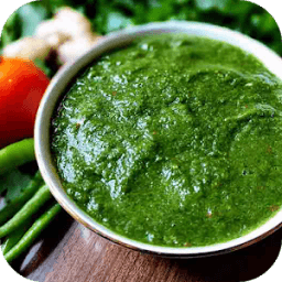100+ Chatni Recipes Marathi आइकन