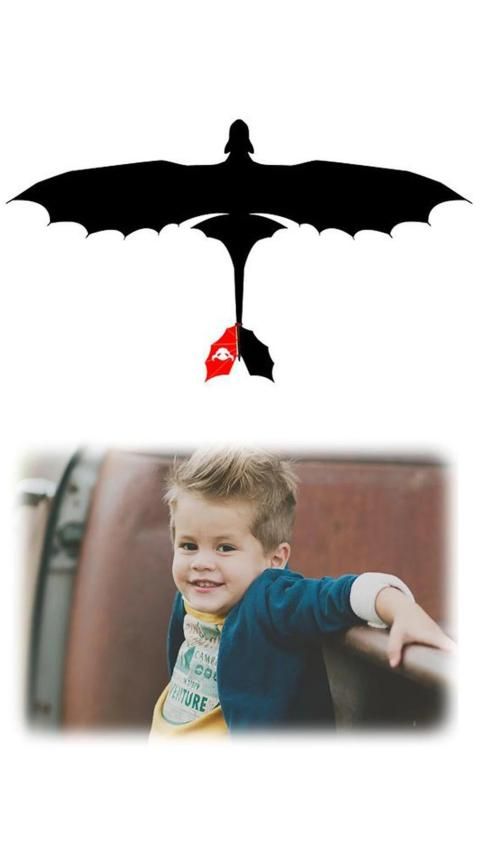 Train Your Dragon Photo Frame 2019 screenshot 6