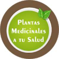 Plantas y hierbas curativas on 9Apps