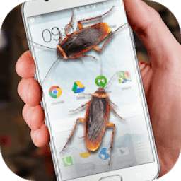 Cockroaches in Phone Ugly Joke