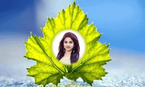 Leaf Photo Frames screenshot 5