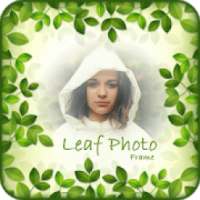 Leaf Photo Frames