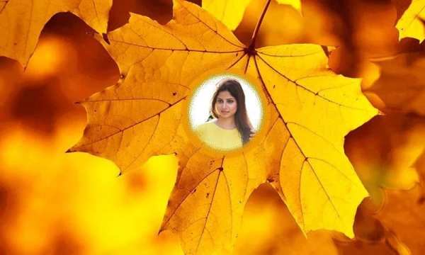 Leaf Photo Frames screenshot 2